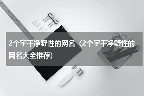 2个字干净野性的网名（2个字干净野性的网名大全推荐）