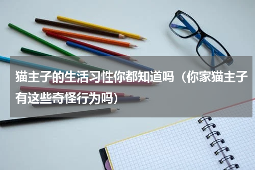 猫主子的生活习性你都知道吗（你家猫主子有这些奇怪行为吗）