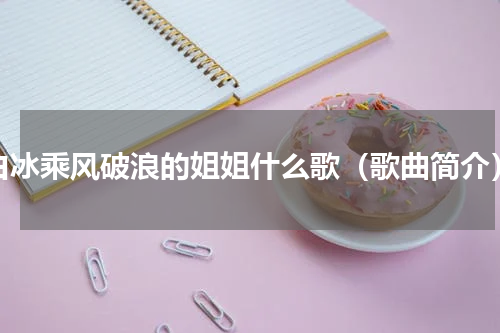 白冰乘风破浪的姐姐什么歌（歌曲简介）