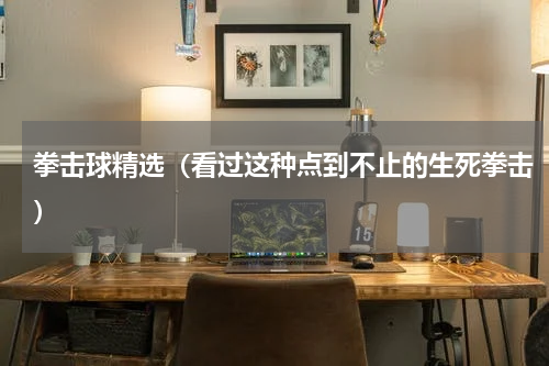 拳击球精选（看过这种点到不止的生死拳击）