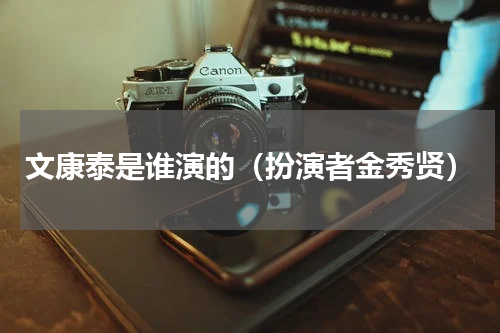文康泰是谁演的（扮演者金秀贤）