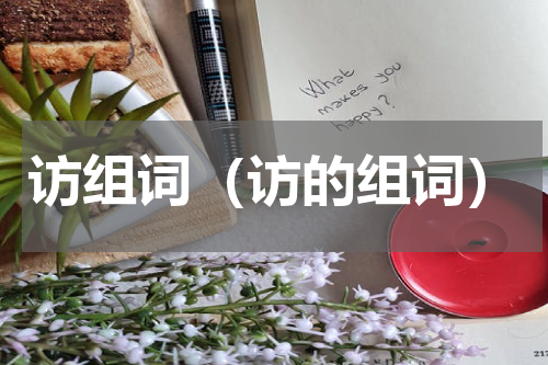 访组词（访的组词）