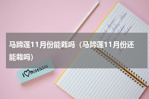马蹄莲11月份能栽吗（马蹄莲11月份还能栽吗）