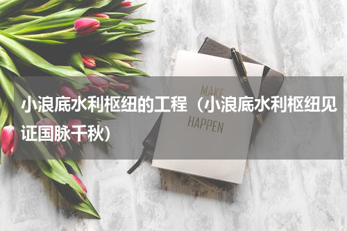 小浪底水利枢纽的工程（小浪底水利枢纽见证国脉千秋）