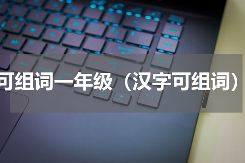 可组词一年级（汉字可组词）