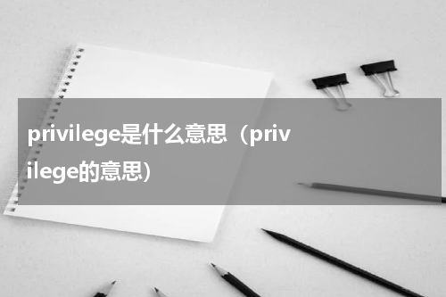privilege是什么意思（privilege的意思）