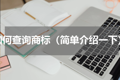 如何查询商标（简单介绍一下）