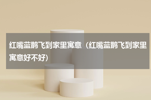 红嘴蓝鹊飞到家里寓意（红嘴蓝鹊飞到家里寓意好不好）