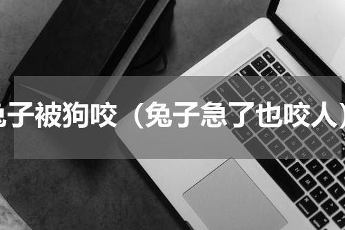 兔子被狗咬（兔子急了也咬人）