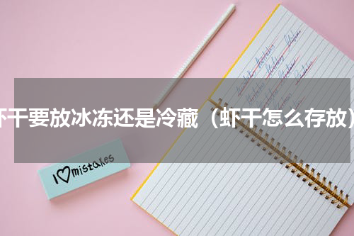 虾干要放冰冻还是冷藏（虾干怎么存放）