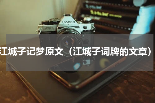 江城子记梦原文（江城子词牌的文章）