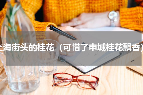上海街头的桂花（可惜了申城桂花飘香）