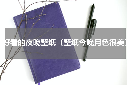 最好看的夜晚壁纸（壁纸今晚月色很美）