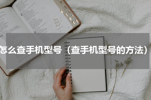 怎么查手机型号（查手机型号的方法）