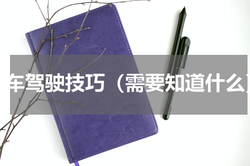 小车驾驶技巧（需要知道什么）