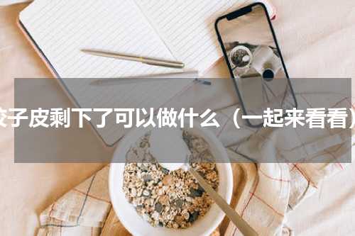 饺子皮剩下了可以做什么（一起来看看）