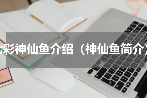 七彩神仙鱼介绍（神仙鱼简介）