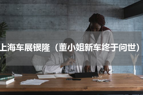 上海车展银隆（董小姐新车终于问世）