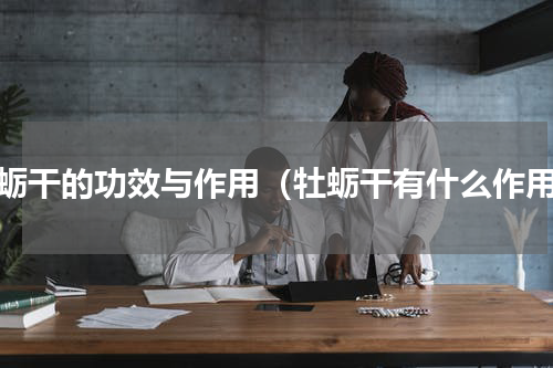 牡蛎干的功效与作用（牡蛎干有什么作用）