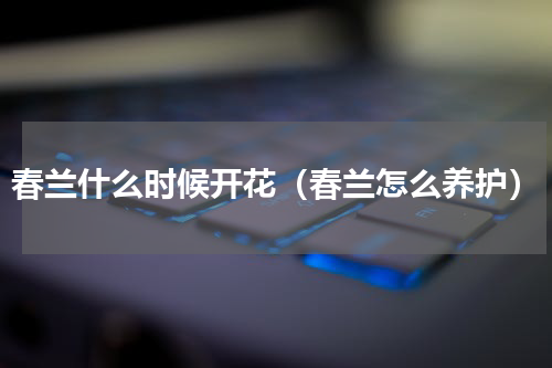春兰什么时候开花（春兰怎么养护）