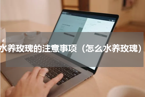 水养玫瑰的注意事项（怎么水养玫瑰）