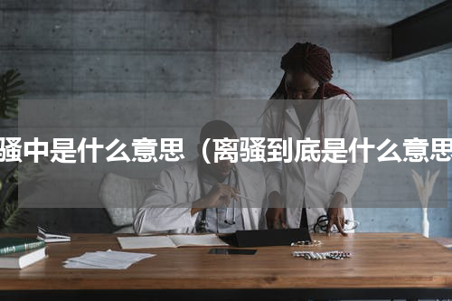 离骚中是什么意思（离骚到底是什么意思）