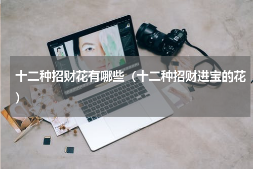 十二种招财花有哪些（十二种招财进宝的花）