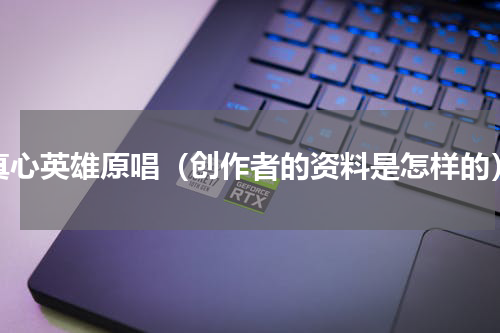 真心英雄原唱（创作者的资料是怎样的）