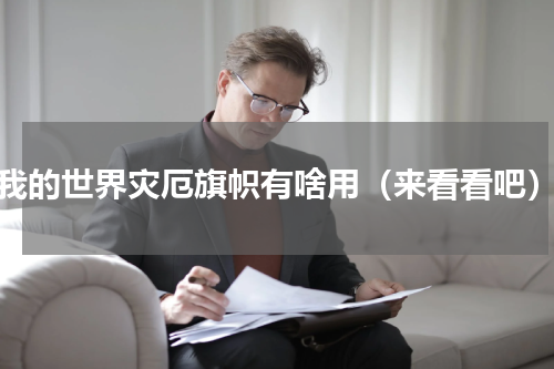 我的世界灾厄旗帜有啥用（来看看吧）