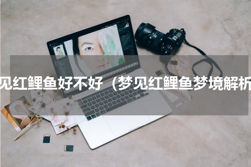 梦见红鲤鱼好不好（梦见红鲤鱼梦境解析）