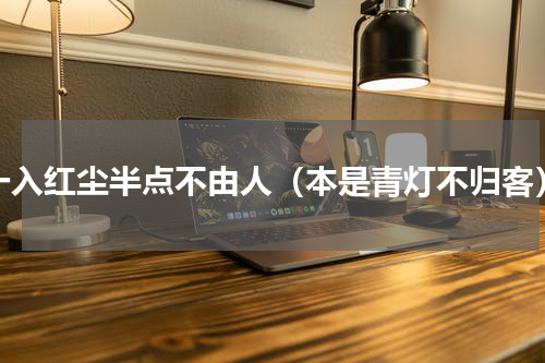 一入红尘半点不由人（本是青灯不归客）