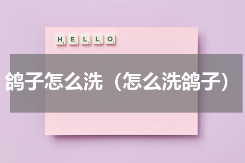 鸽子怎么洗（怎么洗鸽子）