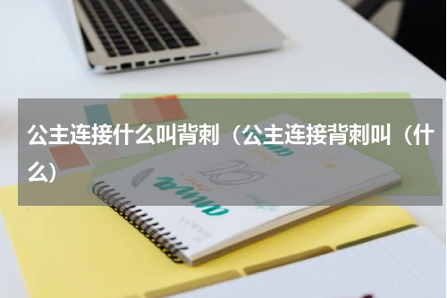 公主连接什么叫背刺（公主连接背刺叫（什么）