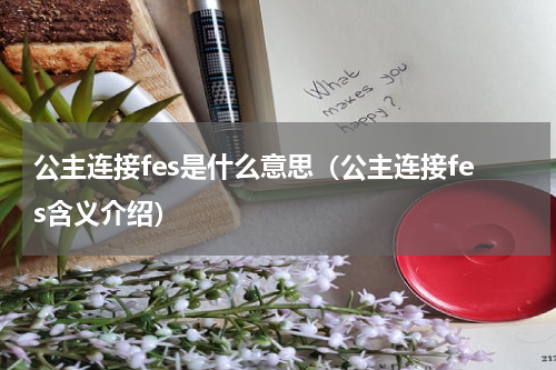 公主连接fes是什么意思（公主连接fes含义介绍）