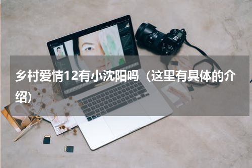 乡村爱情12有小沈阳吗（这里有具体的介绍）