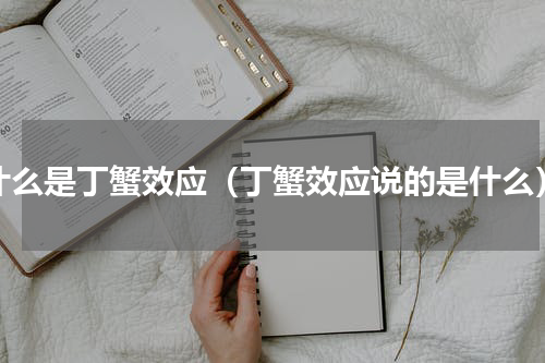 什么是丁蟹效应（丁蟹效应说的是什么）