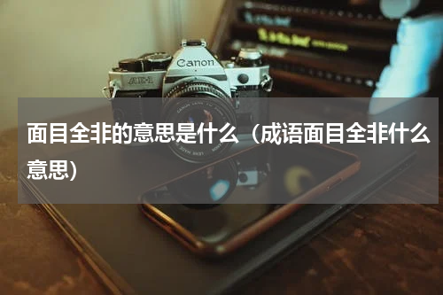 面目全非的意思是什么（成语面目全非什么意思）