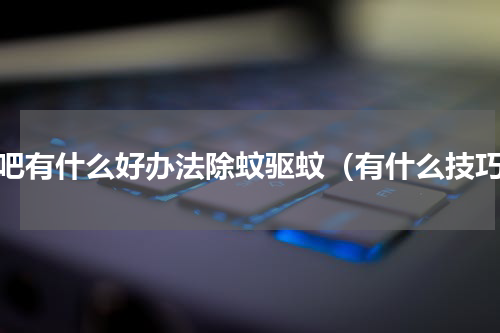 网吧有什么好办法除蚊驱蚊（有什么技巧）