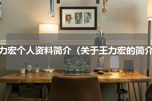 王力宏个人资料简介（关于王力宏的简介）
