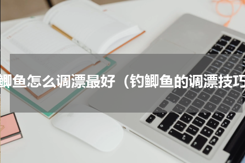 钓鲫鱼怎么调漂最好（钓鲫鱼的调漂技巧）
