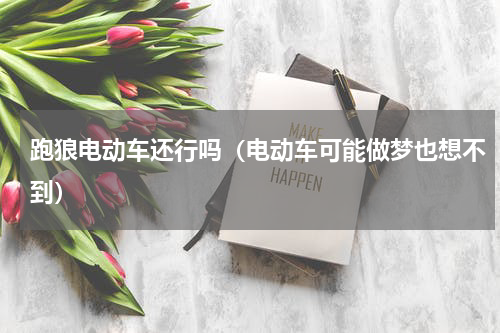跑狼电动车还行吗（电动车可能做梦也想不到）