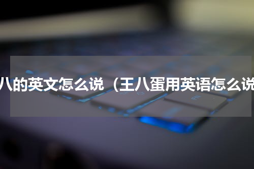 王八的英文怎么说（王八蛋用英语怎么说）