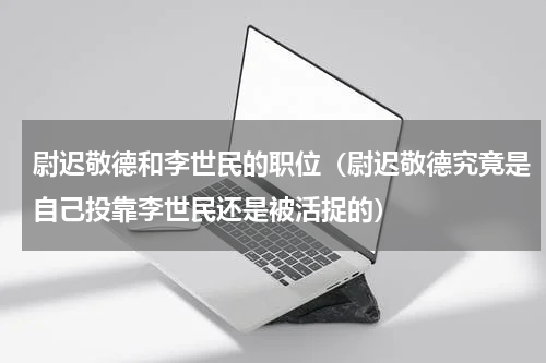 尉迟敬德和李世民的职位（尉迟敬德究竟是自己投靠李世民还是被活捉的）