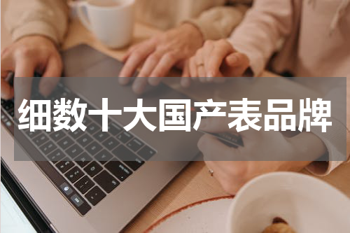 细数十大国产表品牌