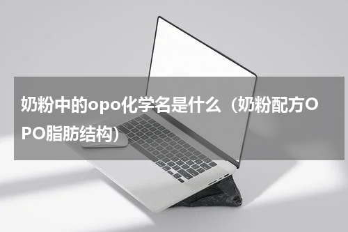 奶粉中的opo化学名是什么（奶粉配方OPO脂肪结构）