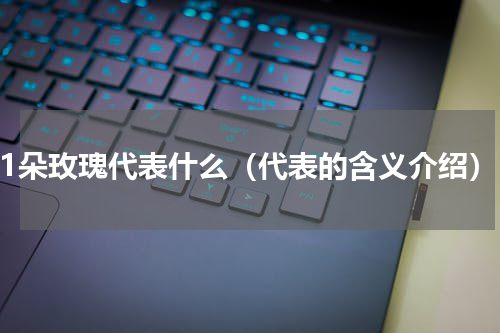 11朵玫瑰代表什么（代表的含义介绍）