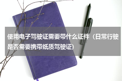 使用电子驾驶证需要带什么证件（日常行驶是否需要携带纸质驾驶证）