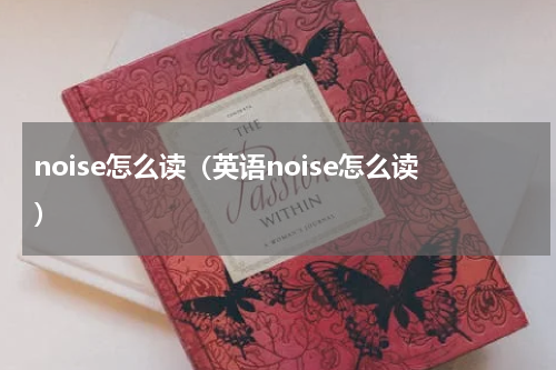 noise怎么读（英语noise怎么读）