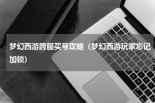 梦幻西游跨服买号攻略（梦幻西游玩家忘记加锁）