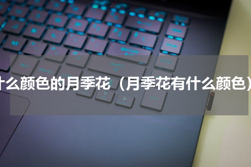 什么颜色的月季花（月季花有什么颜色）